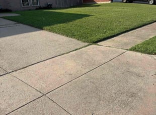 Shiela W.'s turf maintenance service result