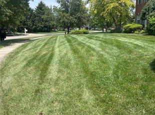 Greg M.'s grass cutting service result