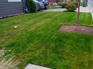 Dan R.'s lawn care services service result