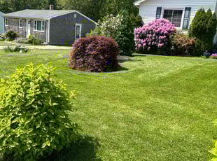 Geoffrey S.'s turf care service result