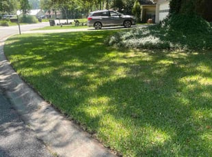 Roxanne M.'s lawn care services service result