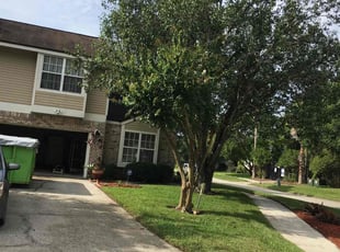 Michelle P.'s lawn maintenance service result