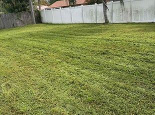 Jesse G.'s turf maintenance service result