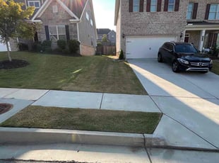 Tracie B.'s turf care service result
