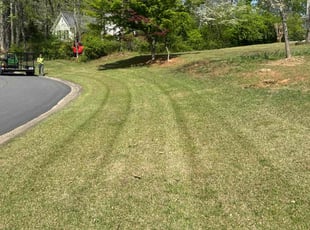 Michele A.'s lawn care service result