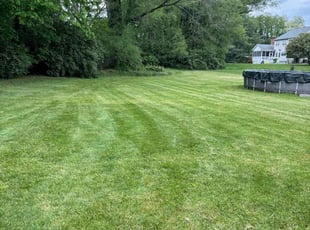 Kevin M.'s residential landscaping service result