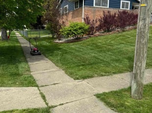 Patrice H.'s turf care service result