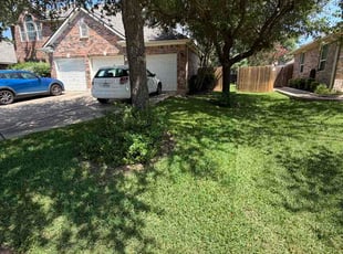 Katie K.'s grass cutting service result
