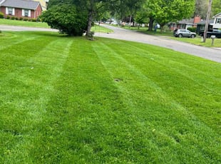 Taryn E.'s turf maintenance service result