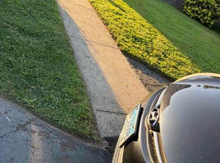 Leiselle D.'s lawn service service result