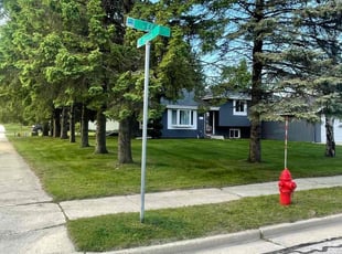 Teshan A.'s grass cutting service result