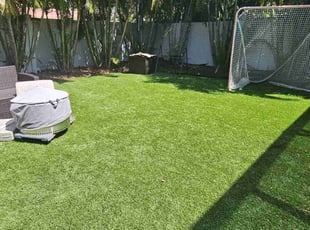 Brenda M.'s Leaf Removal service result