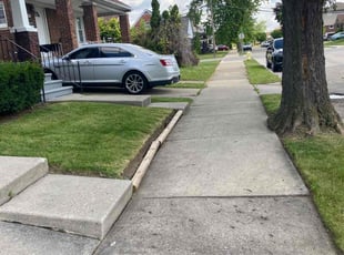 Barbara N.'s lawn care service result