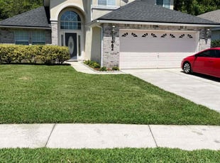 Nadine B.'s lawn care service result