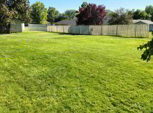Kelly T.'s turf maintenance service result