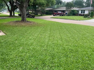 Amanda J.'s lawn care services service result
