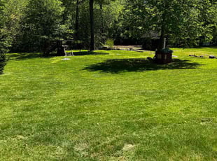 Bridgette R.'s yard maintenance service result