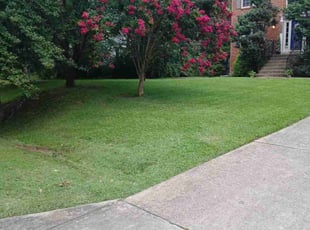 Rickey B.'s turf care service result