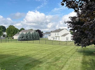 Mark T.'s landscaping services service result