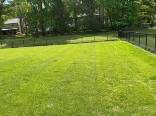 Robin A.'s grass maintenance service result