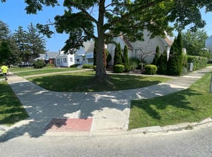 Carla P.'s lawn service service result