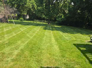 Robert K.'s lawn service service result