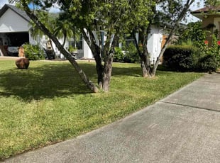 Rick B.'s grass cutting service result