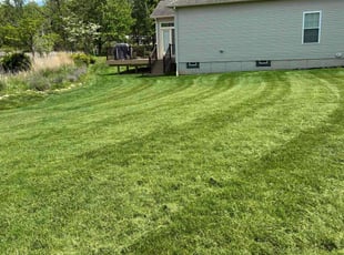 Janine K.'s turf maintenance service result