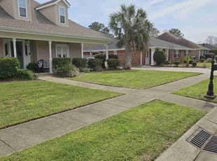 David D.'s grass cutting service result