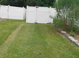 Nate D.'s grass maintenance service result