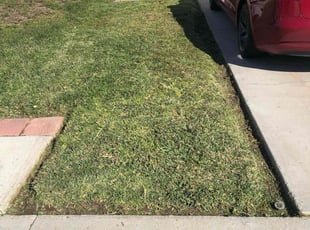 Chad M.'s lawn care services service result