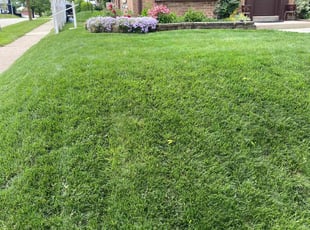 Kyle L.'s grass cutting service result