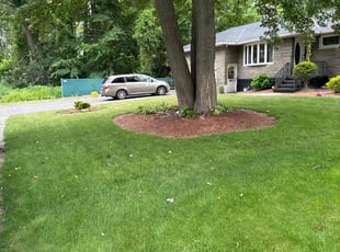 Brett W.'s lawn care service result