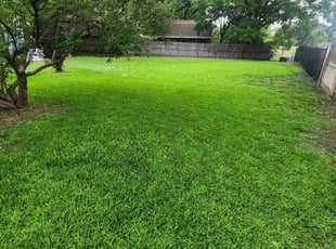 Kimberly M.'s turf care service result