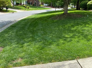 Kathryn M.'s lawn maintenance service result