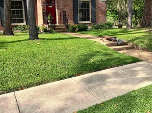 Makayla R.'s lawn maintenance service result