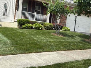 Matthew D.'s lawn maintenance service result