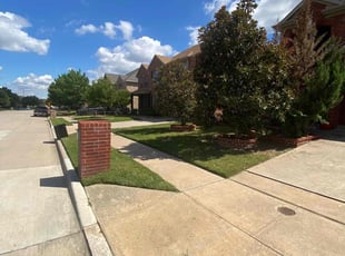 Bushra B.'s lawn care service result