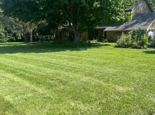 Michael K.'s residential landscaping service result
