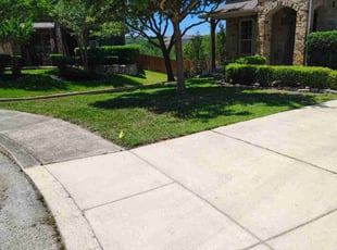 Tracy C.'s lawn maintenance service result