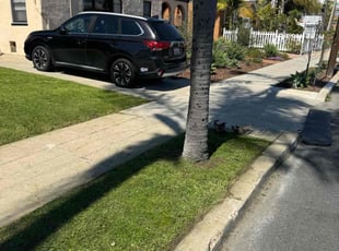 Cora F.'s lawn care service result