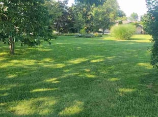 Sheila M.'s lawn care service result