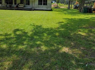 Anne M.'s lawn service service result