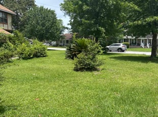 Dusty K.'s lawn care service result