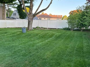 Arpit P.'s lawn service service result
