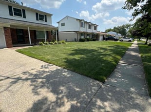 Patrice H.'s lawn care service result