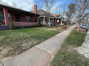 Sharon J.'s Leaf Removal service result