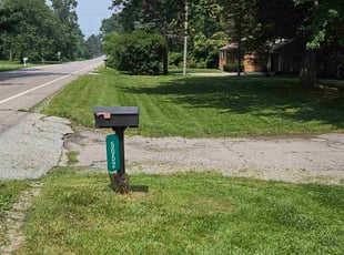 Lisa S.'s turf care service result