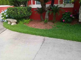 Darlene I.'s lawn service service result