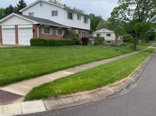 Tonya M.'s turf care service result